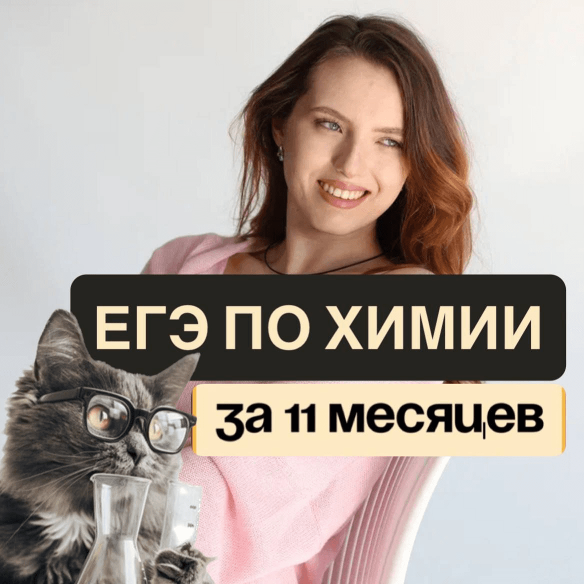 ЕГЭ за 11 месяцев